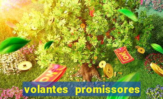 volantes promissores ea fc 24