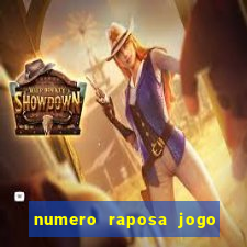 numero raposa jogo do bicho