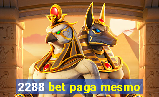 2288 bet paga mesmo