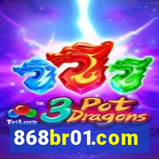 868br01.com