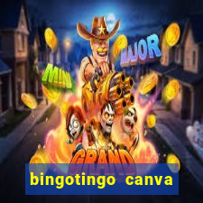 bingotingo canva pro gratis