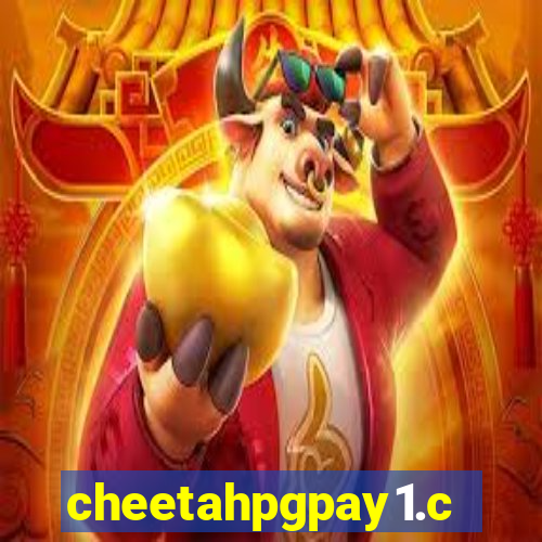 cheetahpgpay1.com