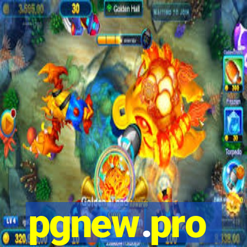 pgnew.pro